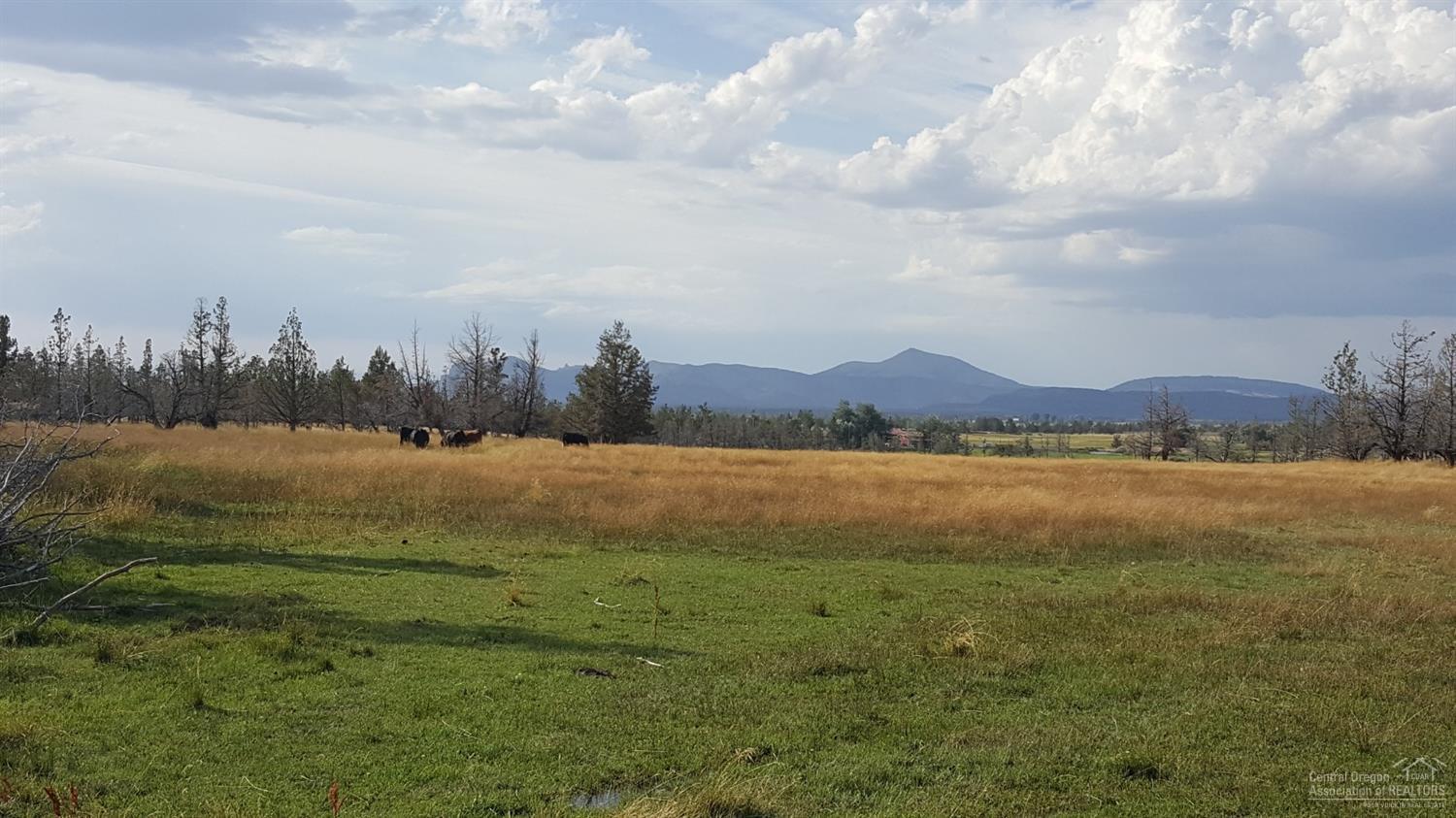 12065 Southwest Dickson Road Powell Butte, OR 97753 - Photo 12 of 24 Additional Photo