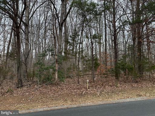 a backyard of a house with lots of trees