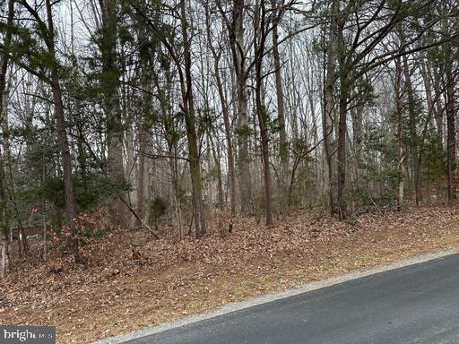 5707 East 32nd Street Yuma, AZ 85365 - Photo 3 of 14 a view of a forest filled with trees