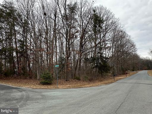 5707 East 32nd Street Yuma, AZ 85365 - Photo 5 of 14 a view of a yard with large trees