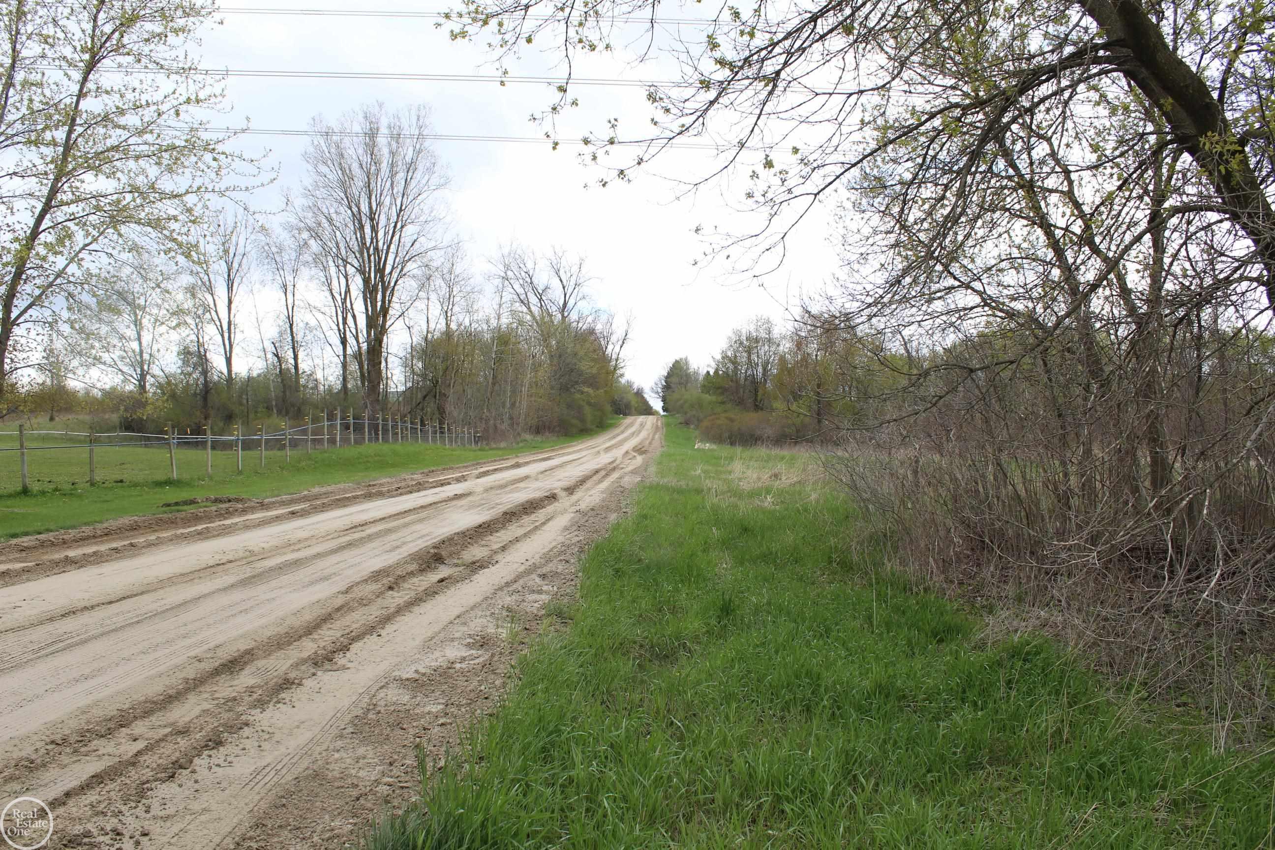 Byron Road Howell, MI 48855 - Photo 7 of 9