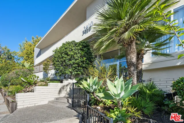 a plant is in front of a building