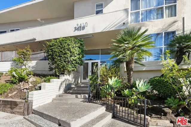 a potted plant sitting in front of a building