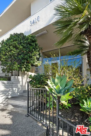 a view of a potted plant