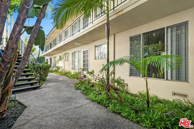 a potted plant sitting in front of a house