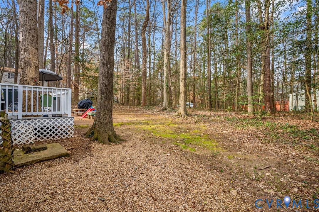 13313 Farm Crest Court Midlothian, VA 23112 - Photo 23 of 24 a view of outdoor space with garden