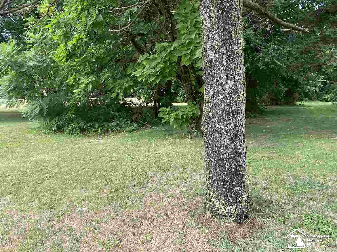 10617 Jackman Road Temperance, MI 48182 - Photo 5 of 30