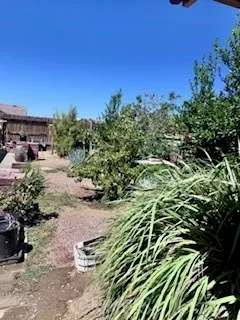 a backyard of a house with lots of green space