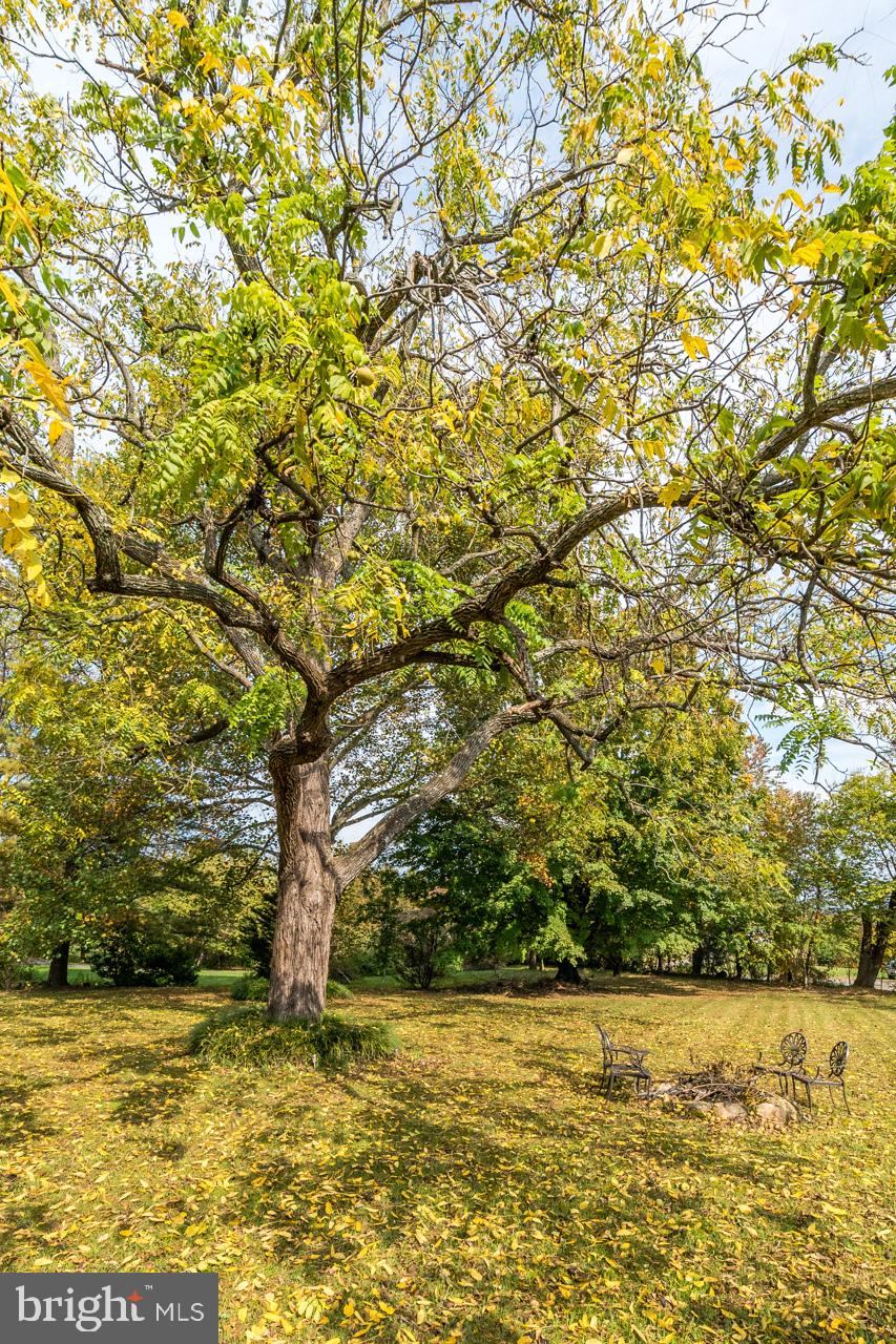 5024 Leeds Manor Road Hume, VA 22639 - Photo 11 of 57 Yard