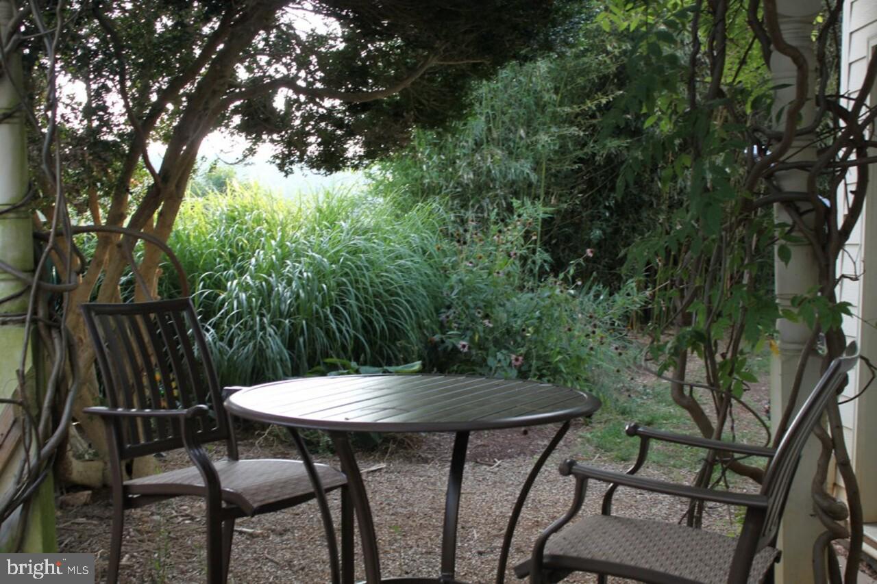 5024 Leeds Manor Road Hume, VA 22639 - Photo 12 of 57 English Garden