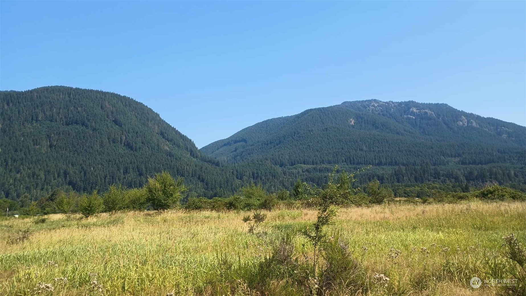 B9 C Lone Tree Road Randle, WA 98377 - Photo 3 of 10