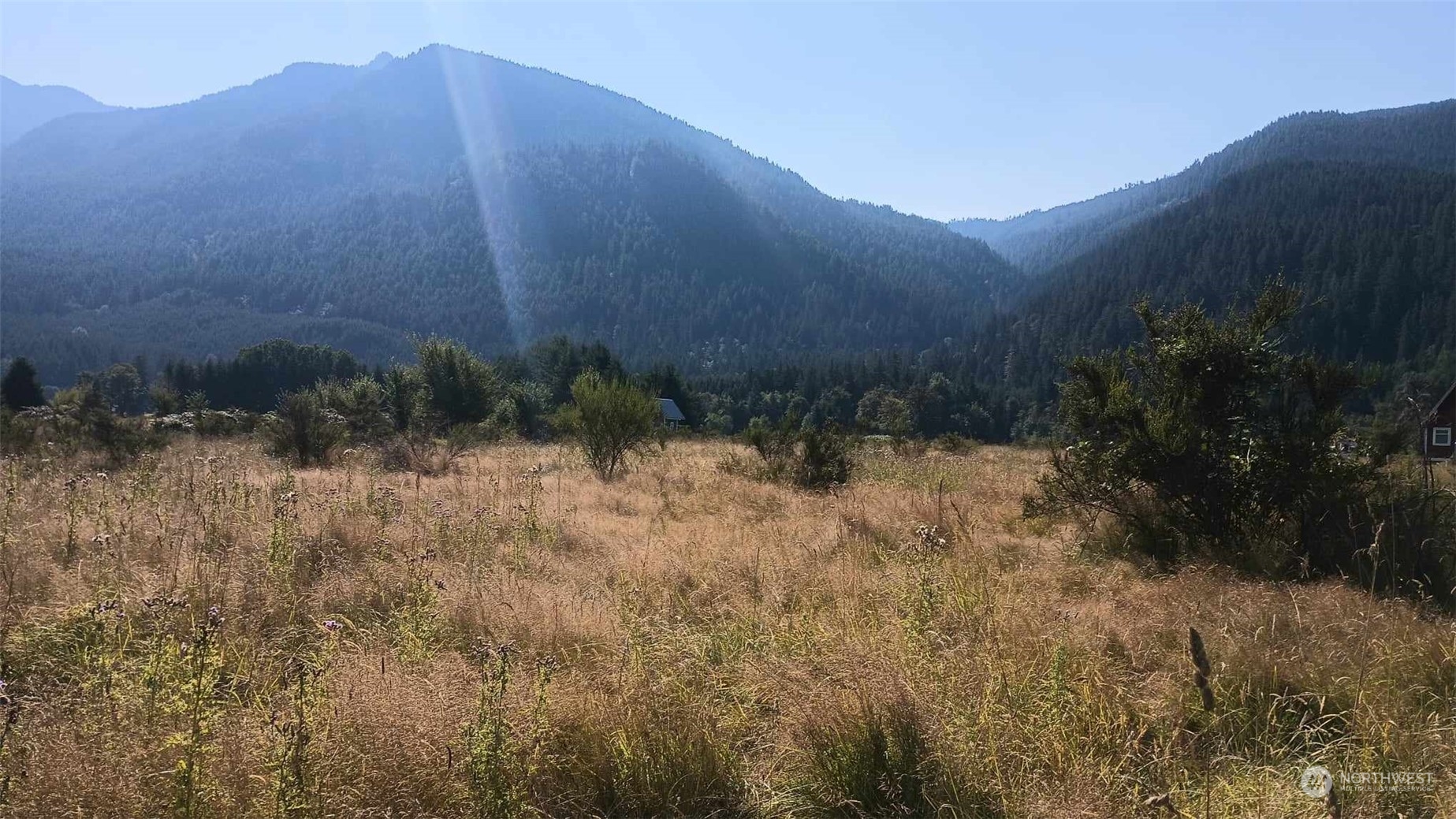 B9 C Lone Tree Road Randle, WA 98377 - Photo 4 of 10