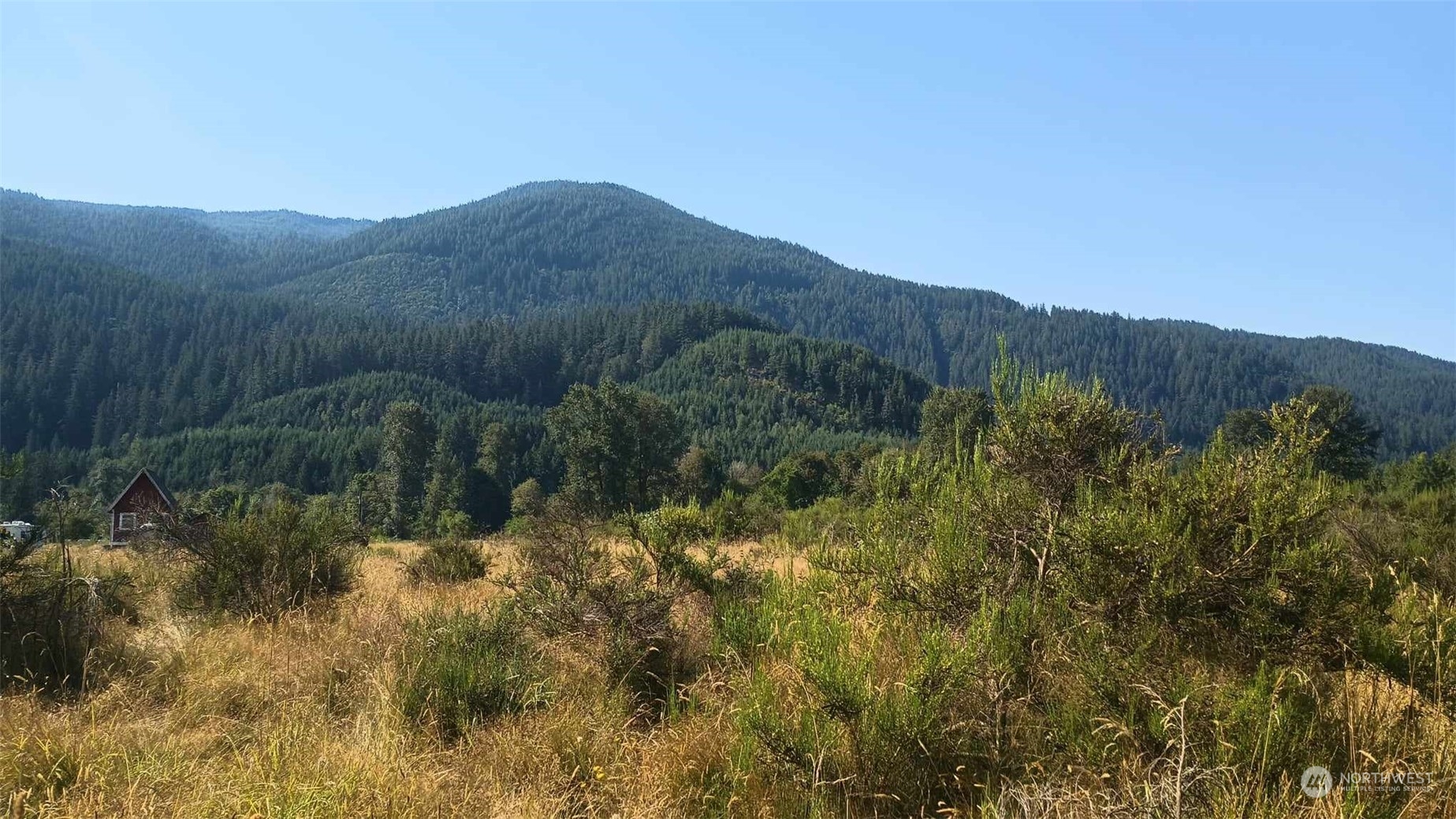 B9 C Lone Tree Road Randle, WA 98377 - Photo 5 of 10