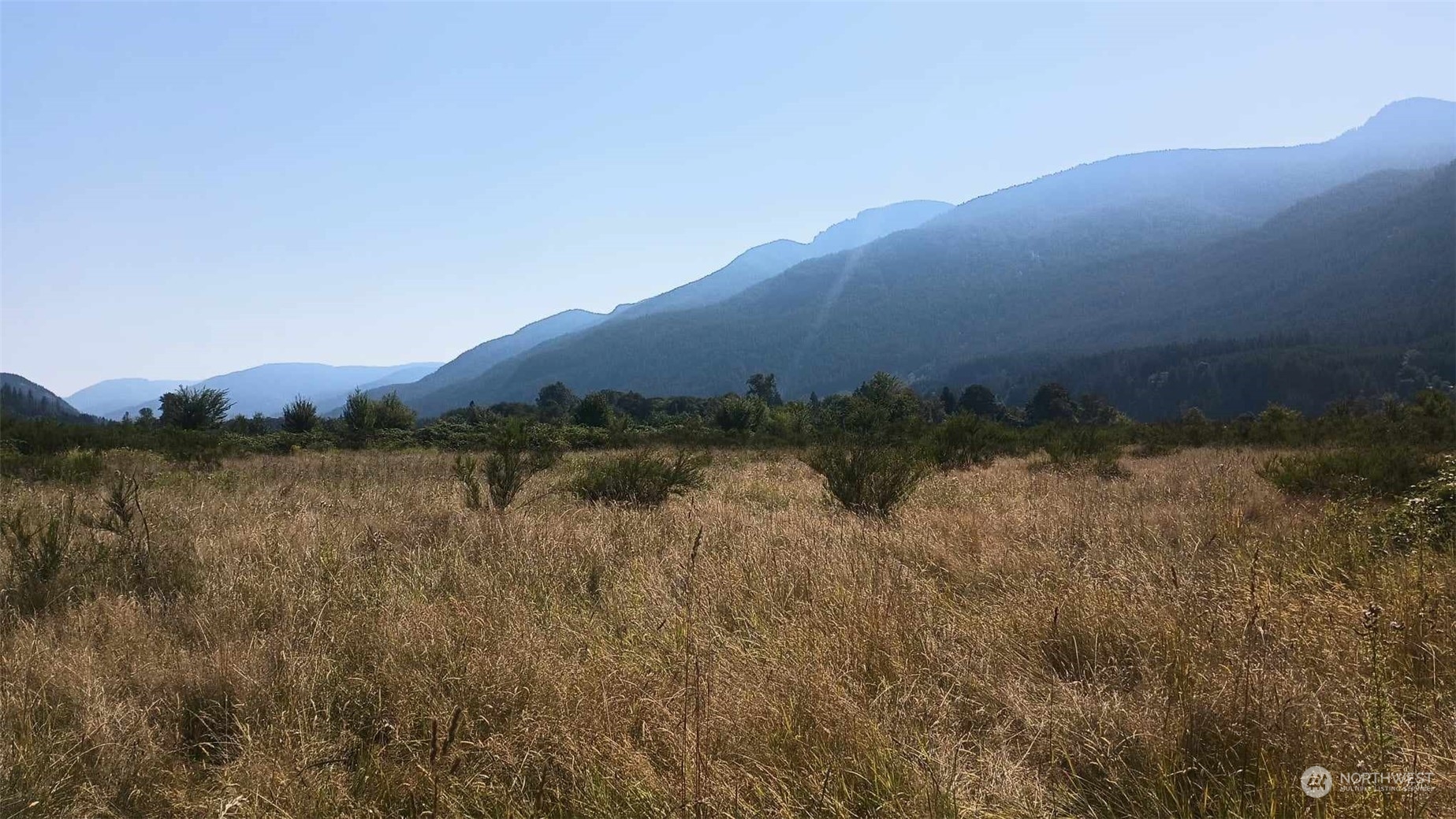 B9 C Lone Tree Road Randle, WA 98377 - Photo 6 of 10