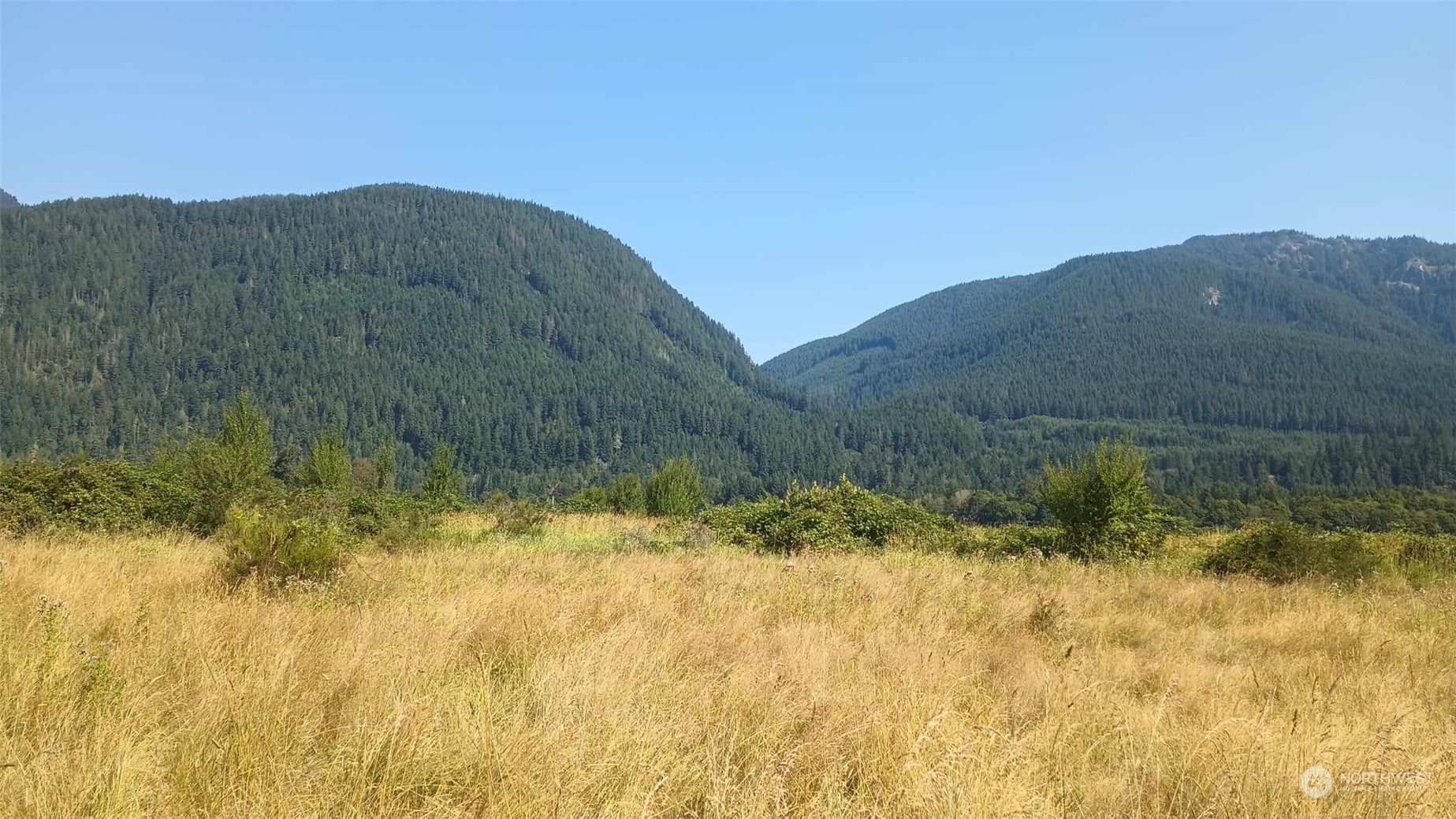 B9 C Lone Tree Road Randle, WA 98377 - Photo 7 of 10