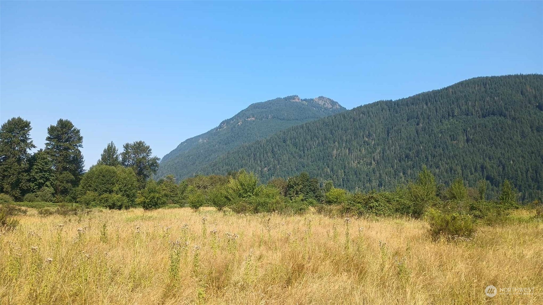 B9 C Lone Tree Road Randle, WA 98377 - Photo 8 of 10