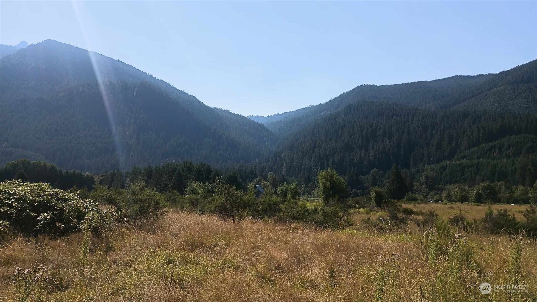 B9 C Lone Tree Road Randle, WA 98377 - Photo 9 of 10