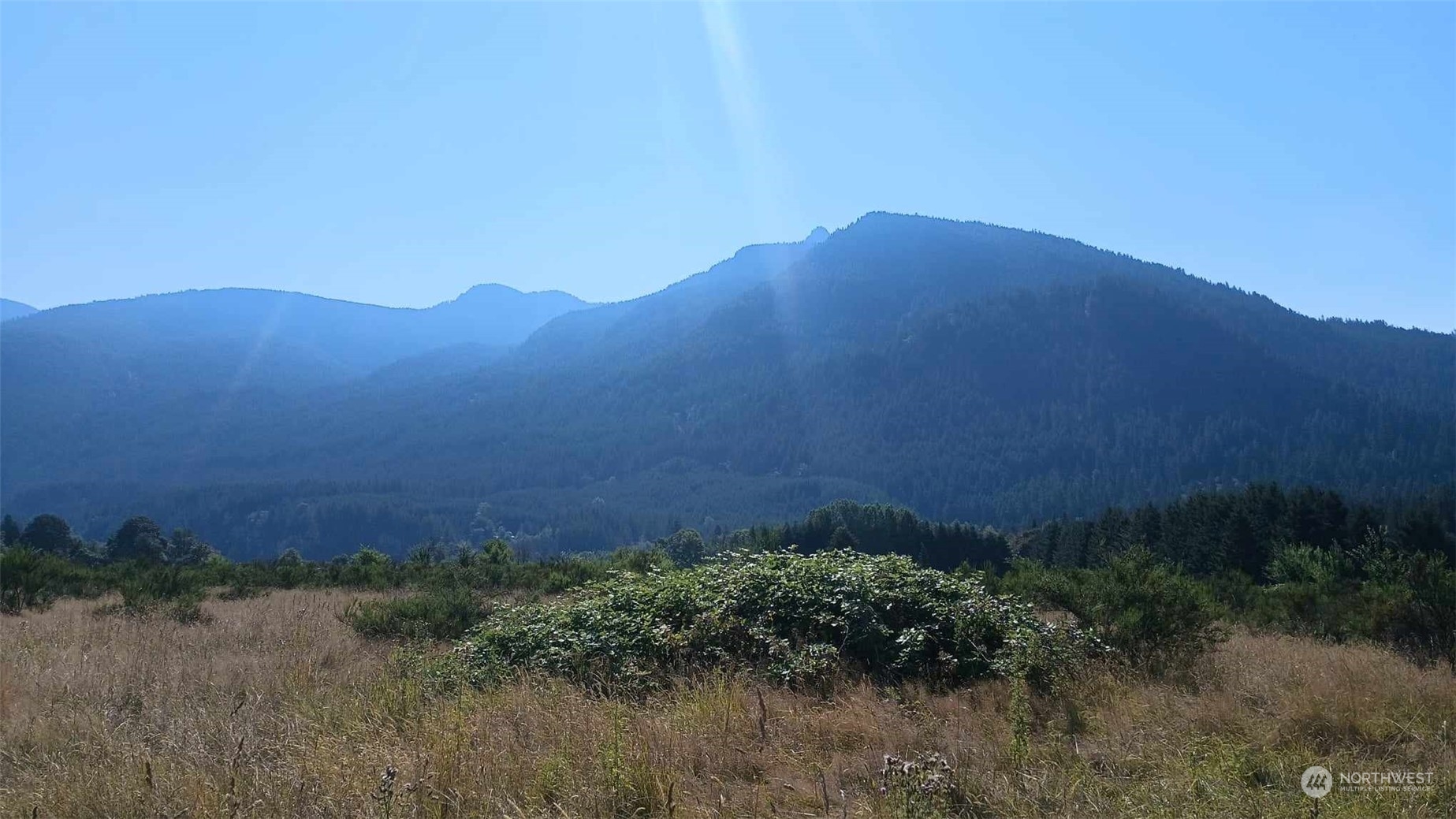 B9 C Lone Tree Road Randle, WA 98377 - Photo 10 of 10