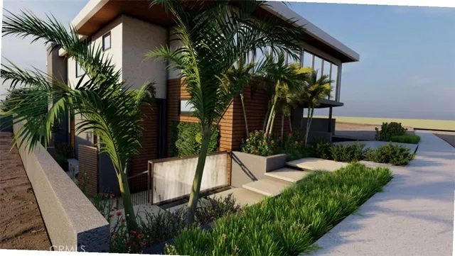 a view of a backyard with plants