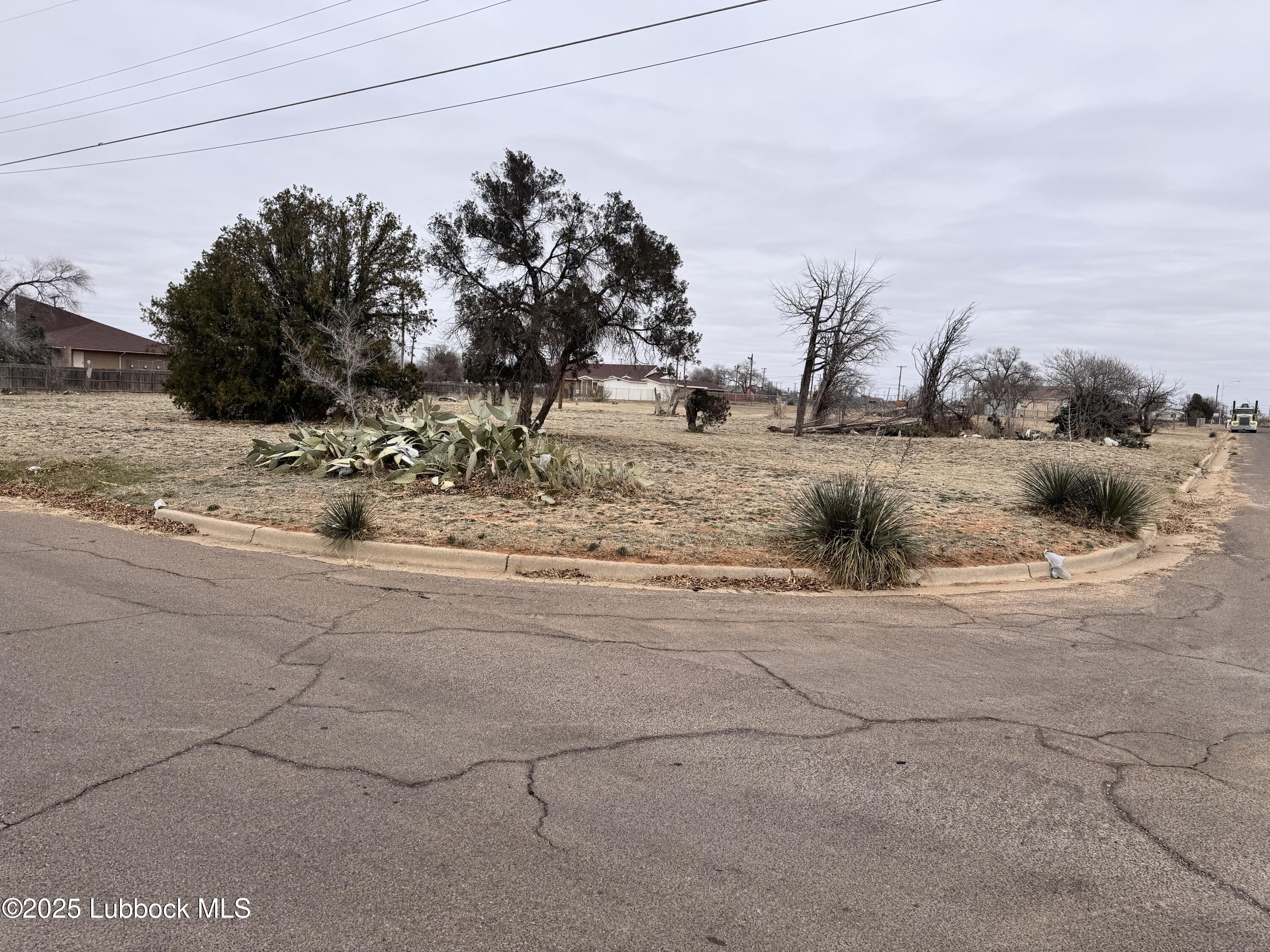 a view of a yard with a tree