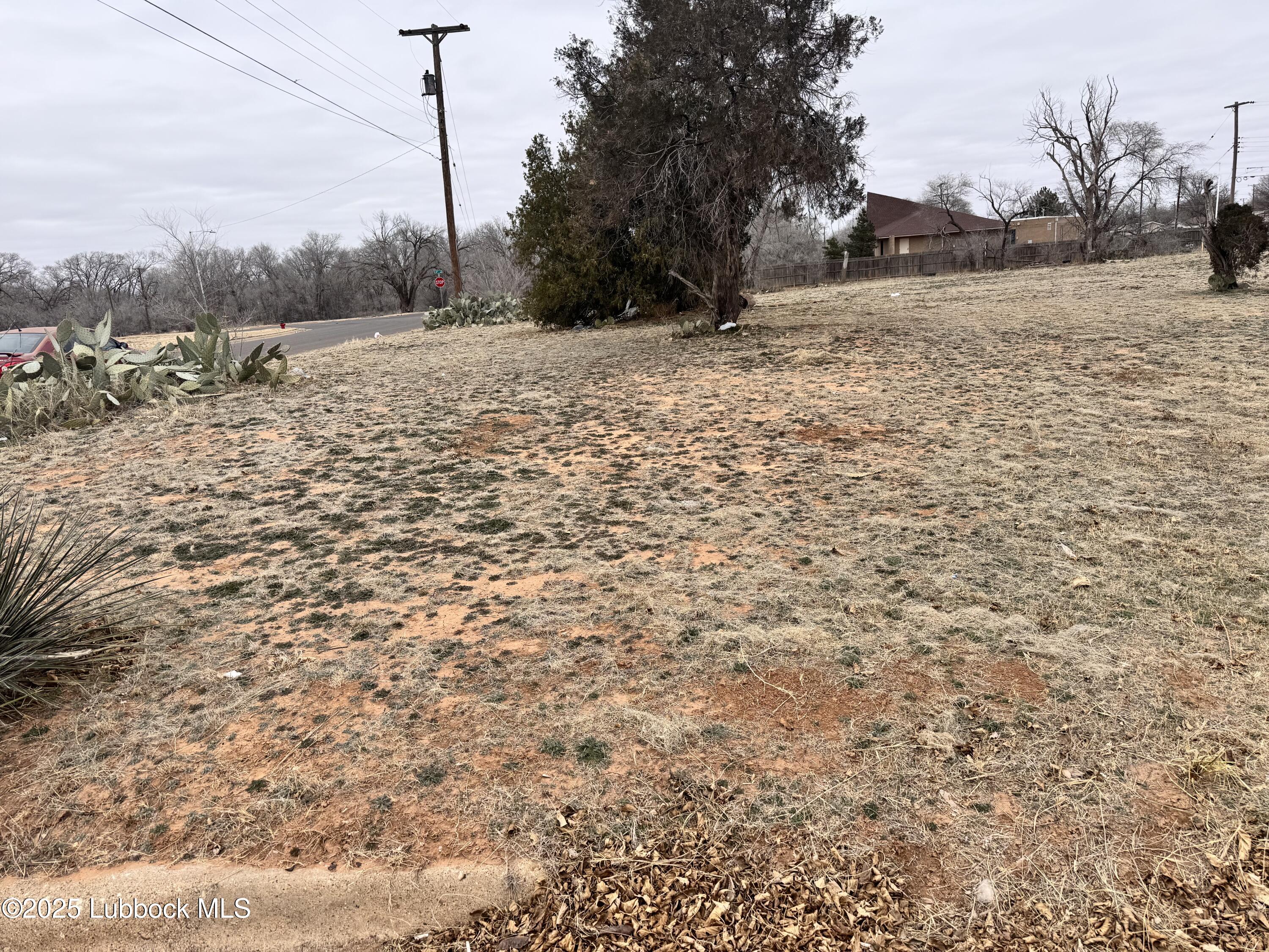 2801 East 5th Street Lubbock, TX 79403 - Photo 2 of 2 a view of a yard