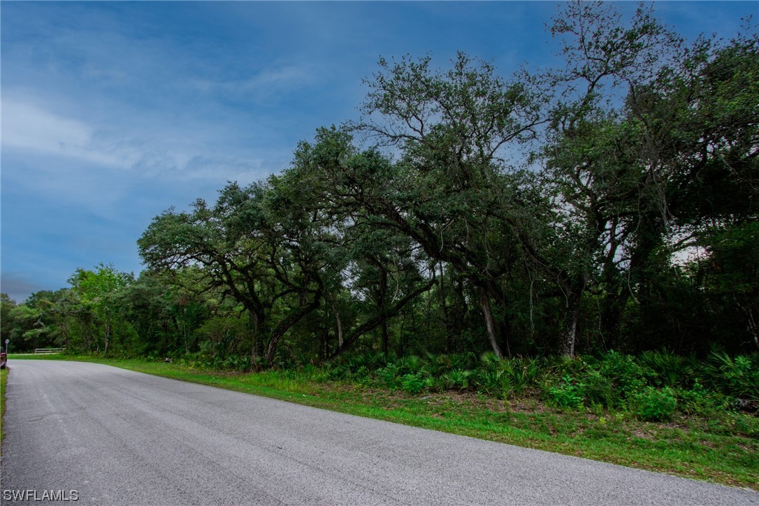 34132 August Avenue Webster, FL 33597 - Photo 6 of 13 a view of a street with a trees