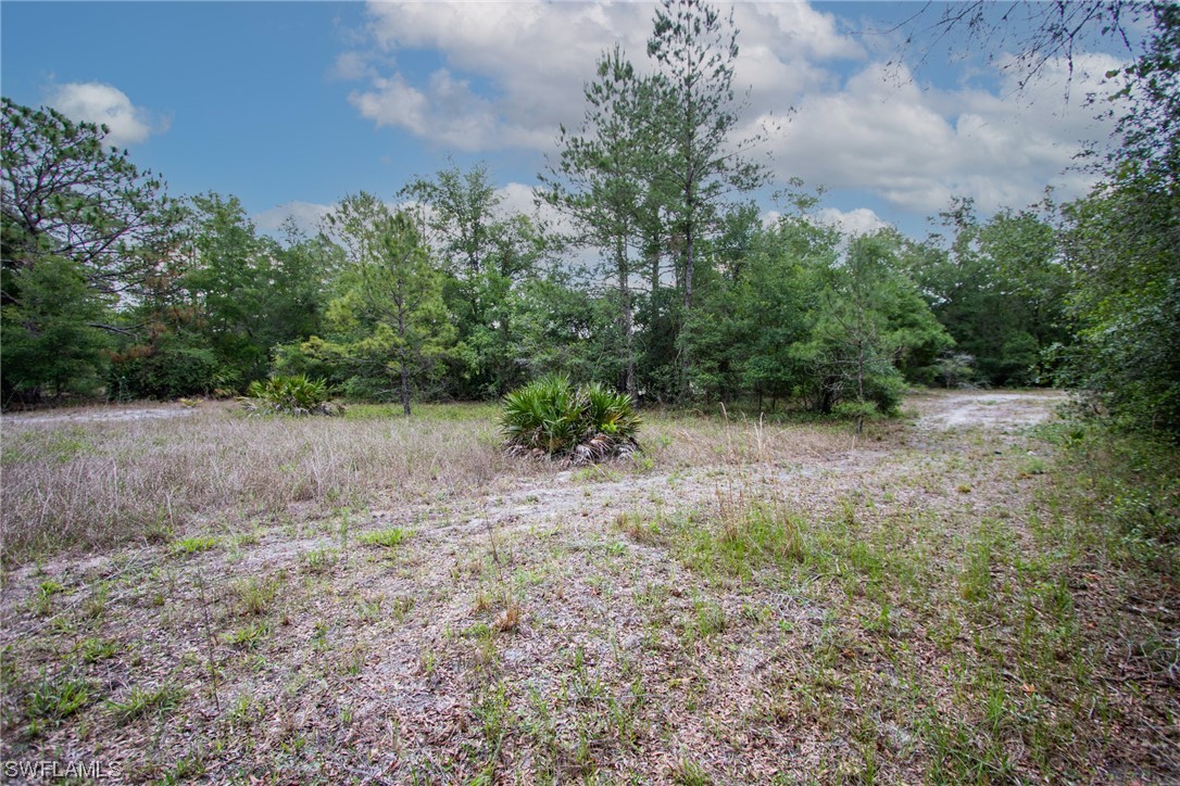 34132 August Avenue Webster, FL 33597 - Photo 8 of 13 a view of a large yard with lots of green space