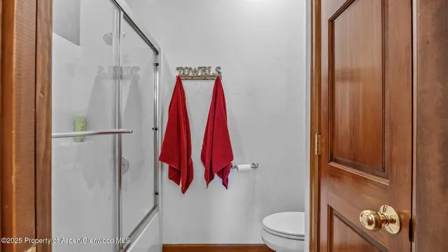 a bathroom with a shower and a toilet