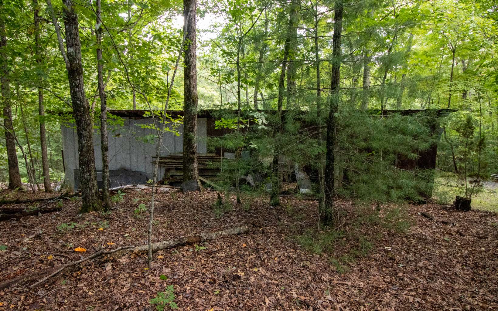337 Chestnut Gap Road Blue Ridge, GA 30513 - Photo 27 of 62 Additional View