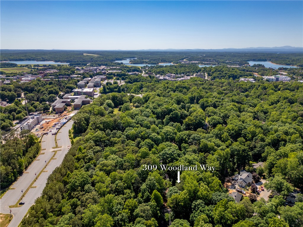 309 Woodland Way Clemson, SC 29631 - Photo 43 of 43 This elevated perspective captures the expansive natural beauty and surrounding environment.