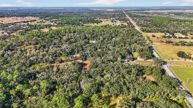 an aerial view of residential houses with outdoor space and trees