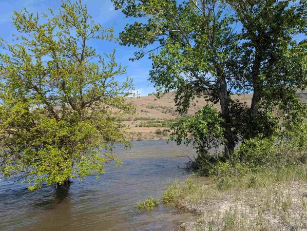 $647,000 | 126 Rivers Bend Road, White Bird, ID 83554