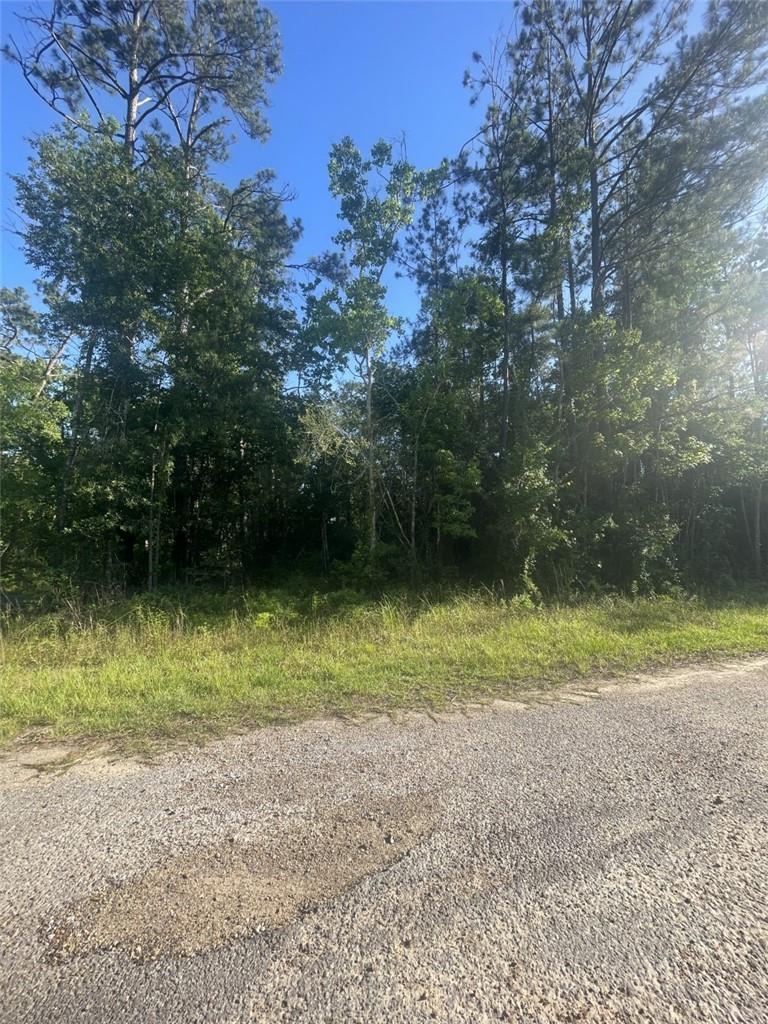 Ginger Lane Ragley, LA 70657 - Photo 3 of 3