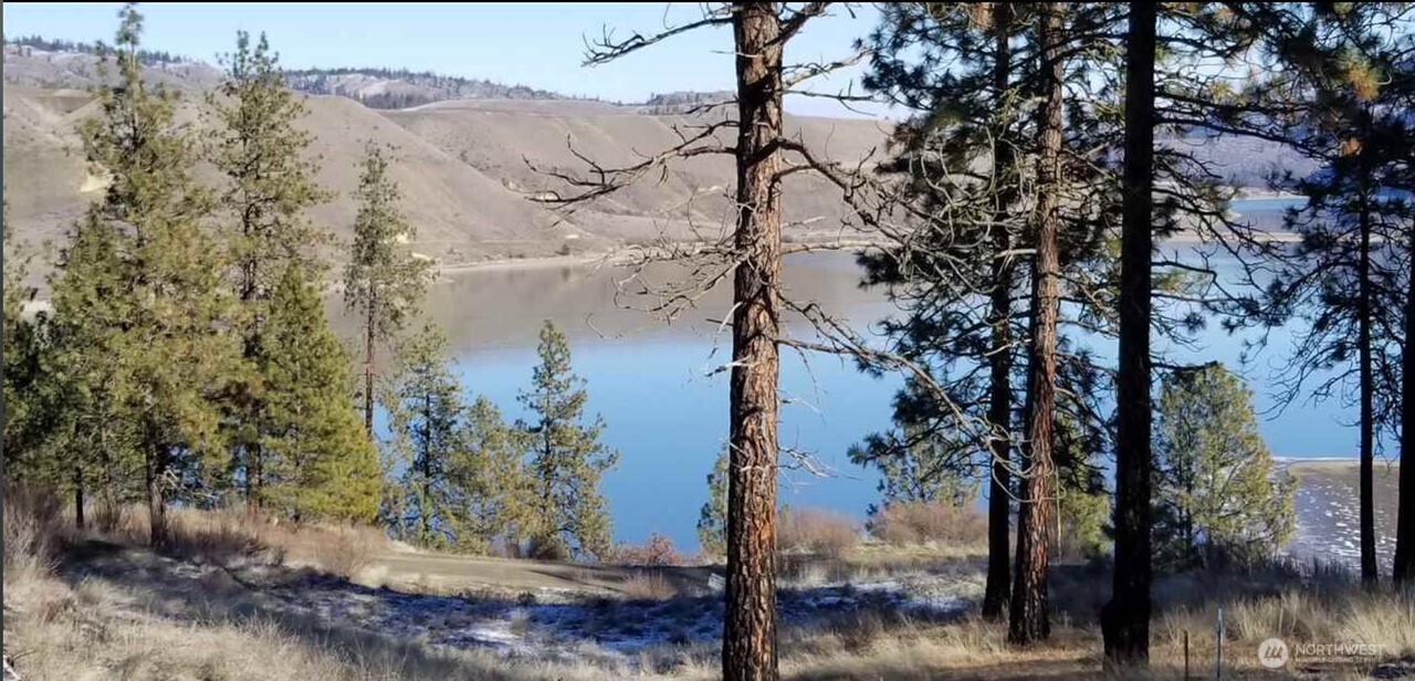0 John's View Road Davenport, WA 99122 - Photo 8 of 10 Gallery Image 8