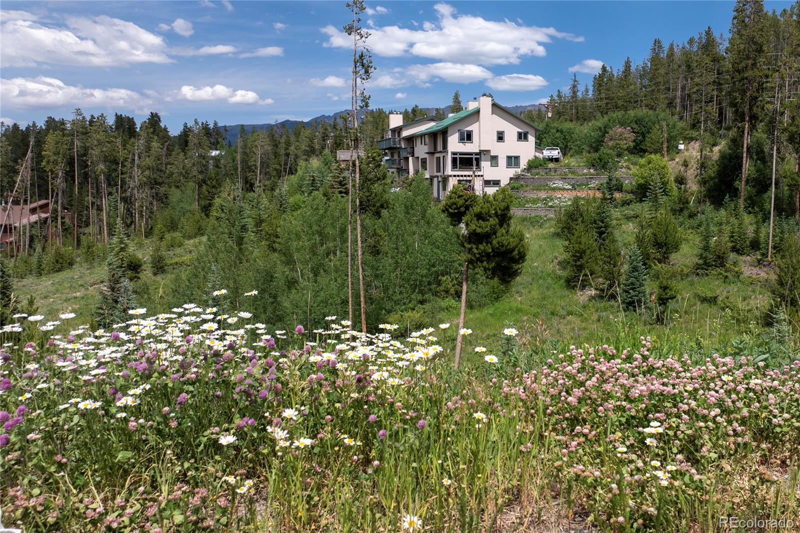 16 County Road 8343 Fraser, CO 80442 - Photo 15 of 17