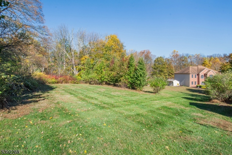 23 George Hill Road Augusta, NJ 07822 - Photo 17 of 19 a view of a yard with a tree