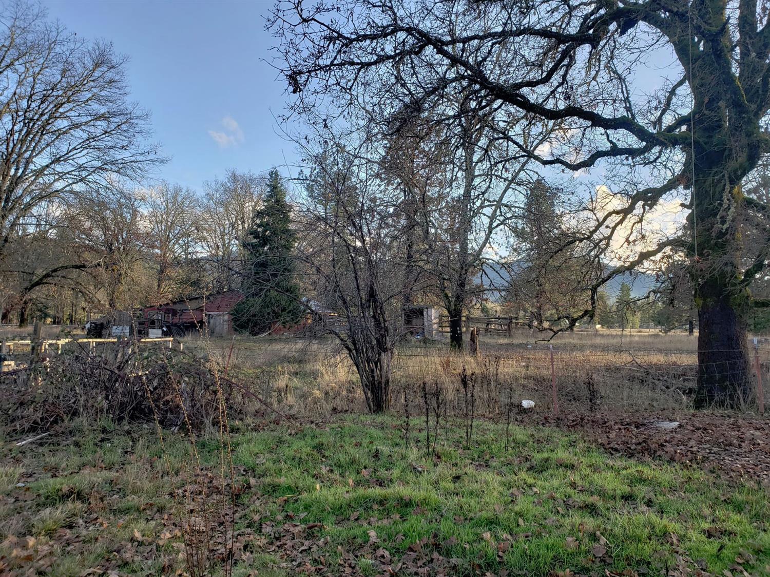 239 Dick George Road Cave Junction, OR 97523 - Photo 16 of 19 Additional Photo