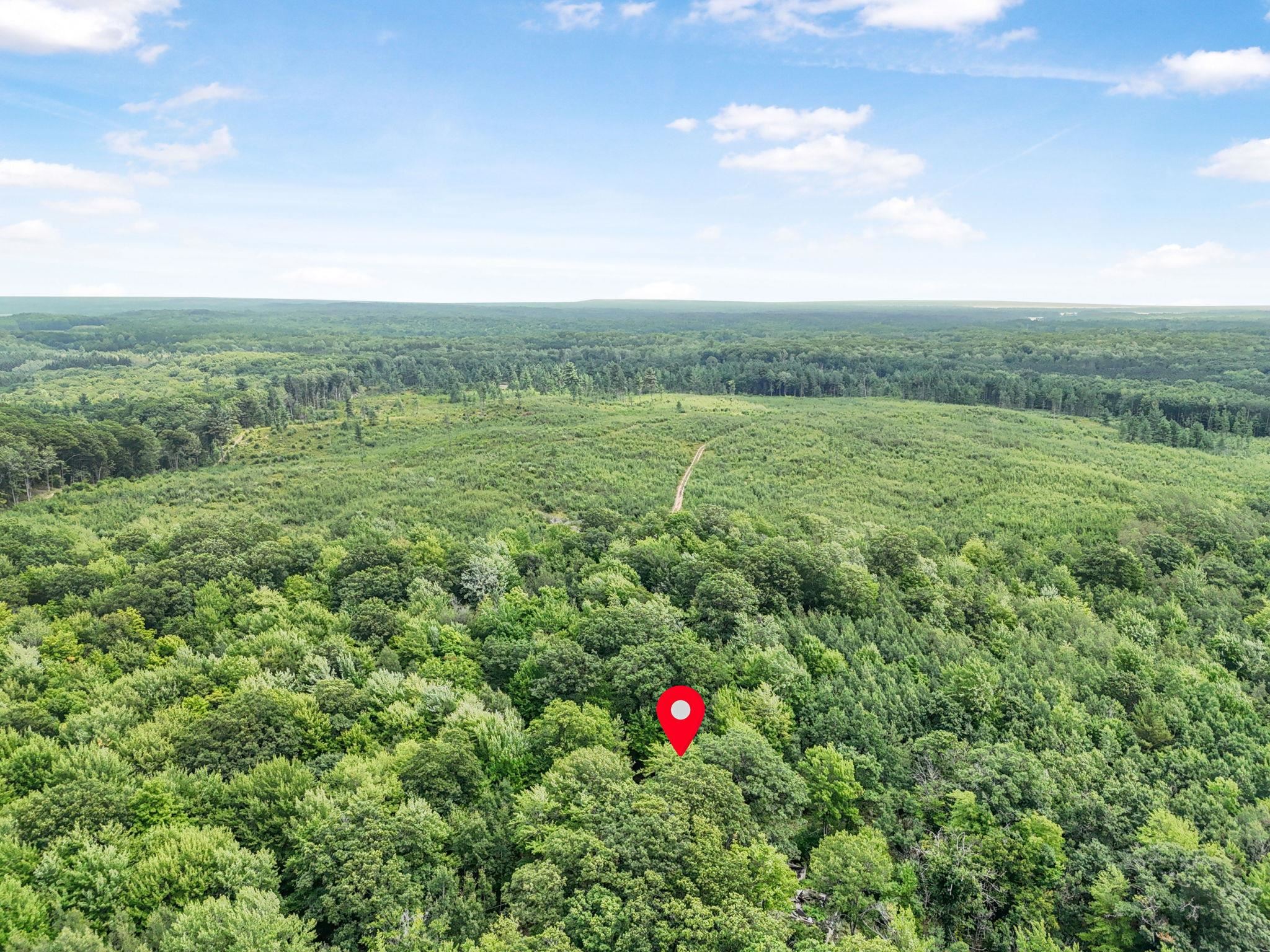 1050 North 47 1/2 Road Manton, MI 49663 - Photo 27 of 28 Gallery Image 27