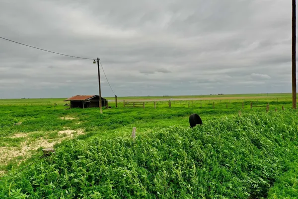 a green field with lots of green space