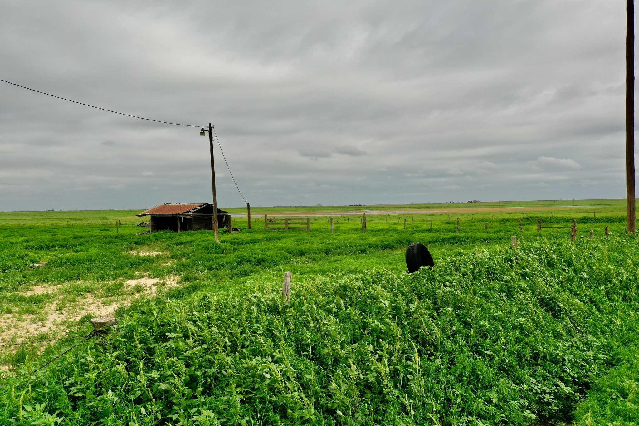 a green field with lots of green space
