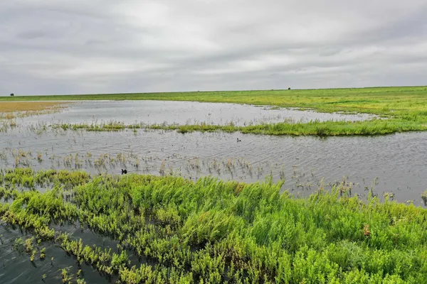 a view of an ocean beach