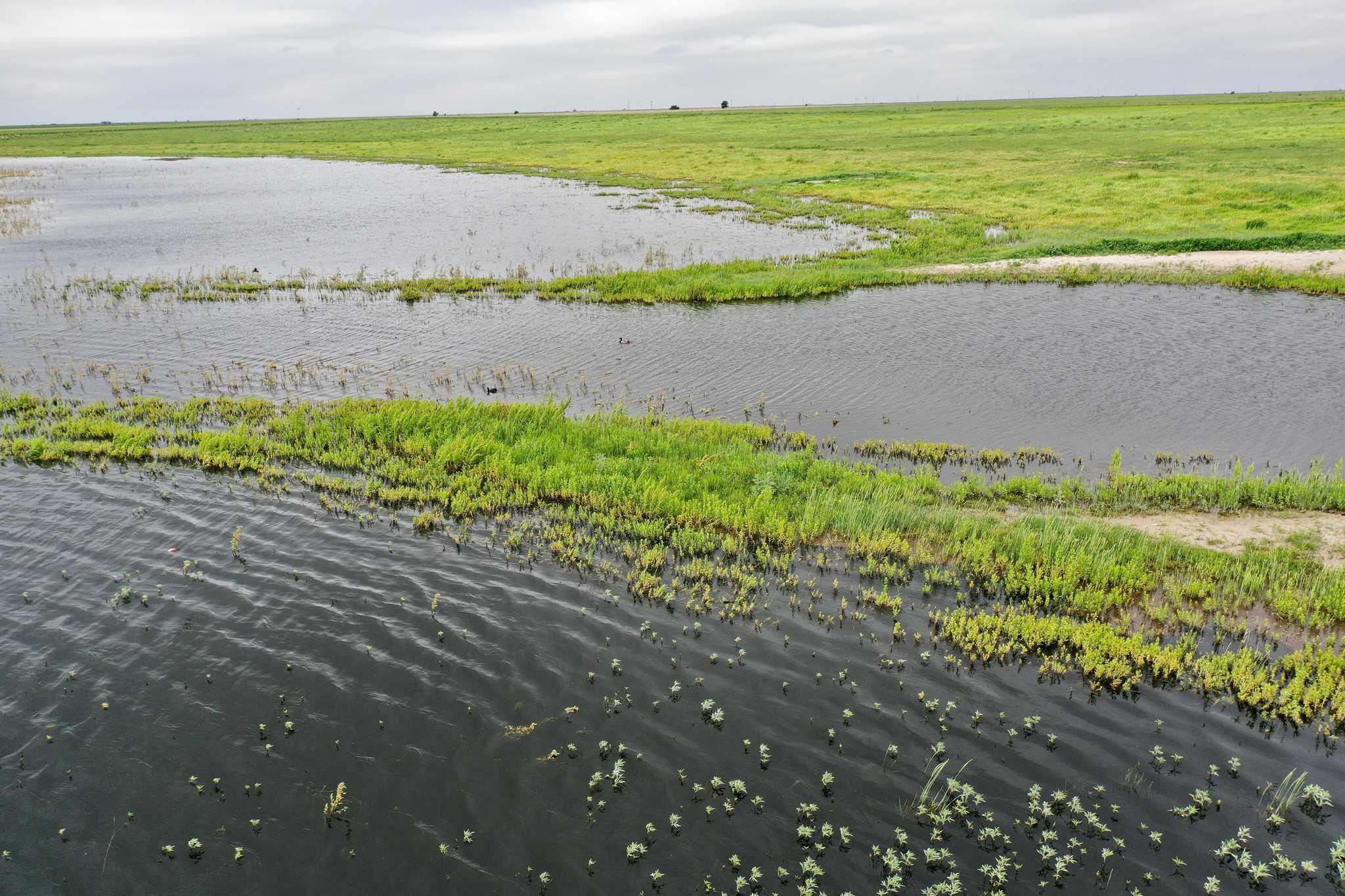2015 County Road 9 Tulia, TX 79088 - Photo 12 of 33 a view of an ocean beach