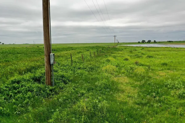 a view of a garden with a table and chairs