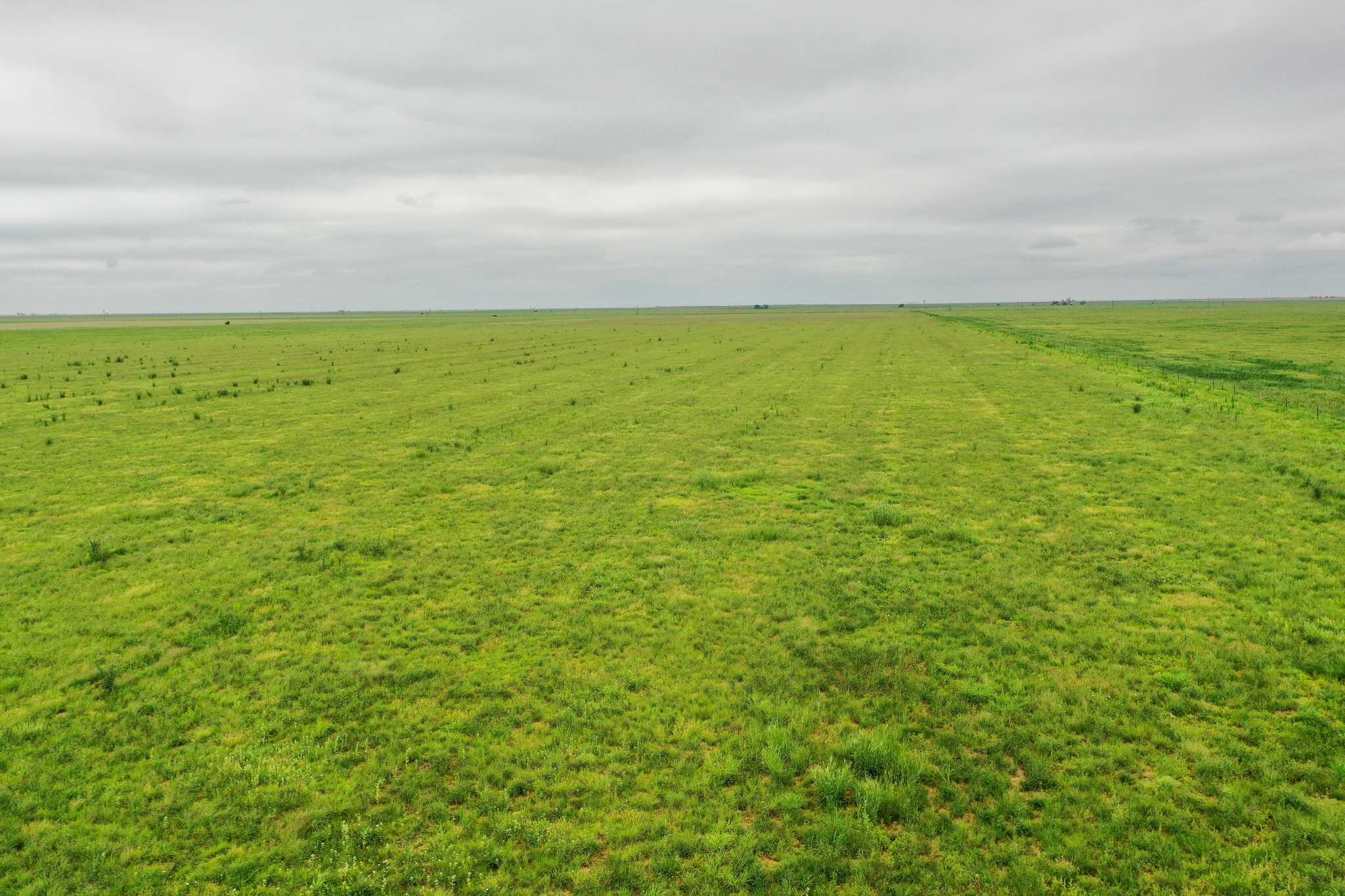 2015 County Road 9 Tulia, TX 79088 - Photo 17 of 33 a view of an ocean