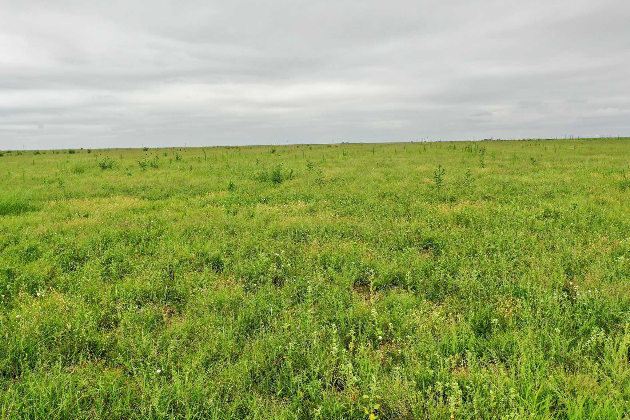 2015 County Road 9 Tulia, TX 79088 - Photo 18 of 33 a view of an ocean