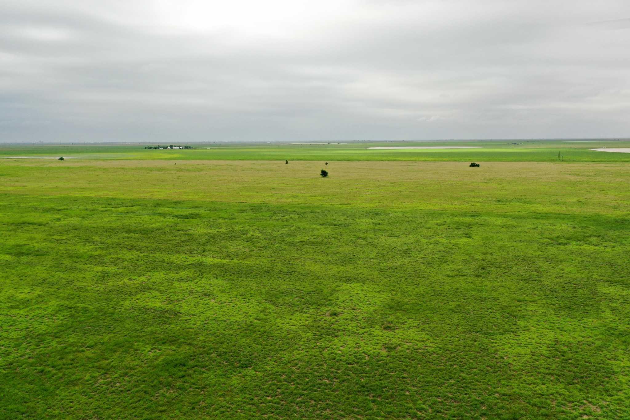 2015 County Road 9 Tulia, TX 79088 - Photo 19 of 33 a view of an ocean