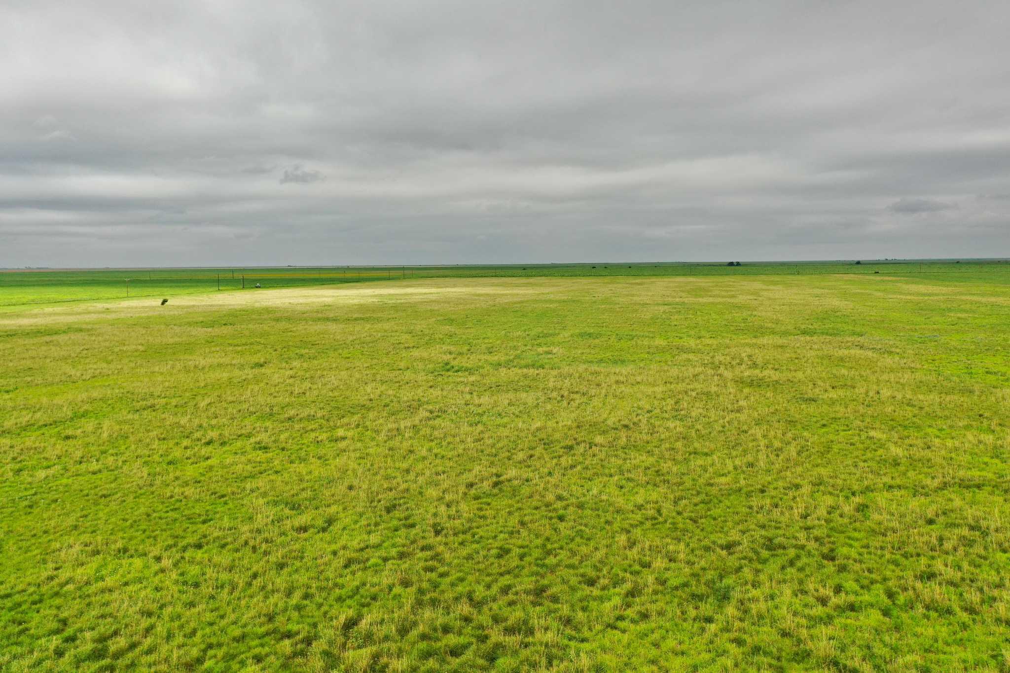 2015 County Road 9 Tulia, TX 79088 - Photo 21 of 33 a view of an ocean from a yard