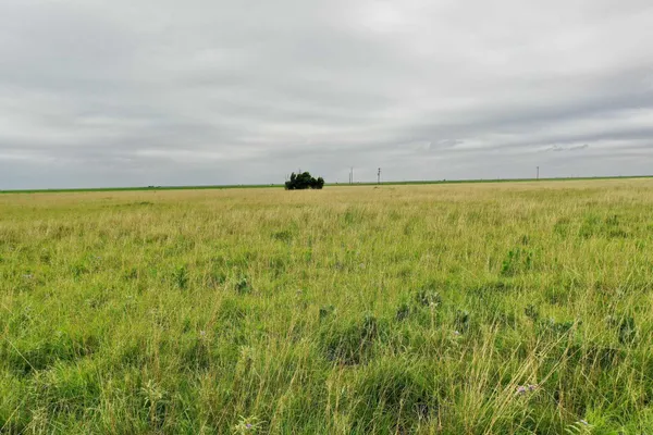 a view of a field of grass and trees