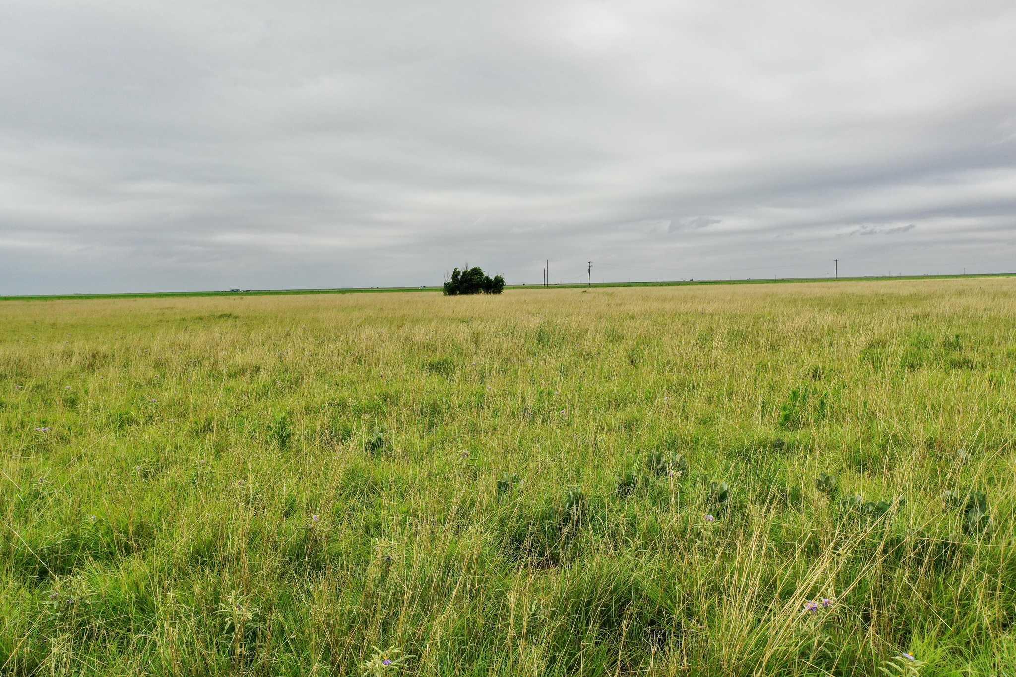 2015 County Road 9 Tulia, TX 79088 - Photo 23 of 33 a view of an ocean