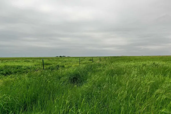 a view of a big yard with an empty space and trampoline